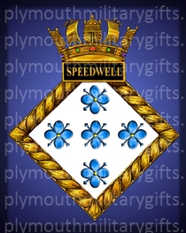 HMS Speedwell Magnet
